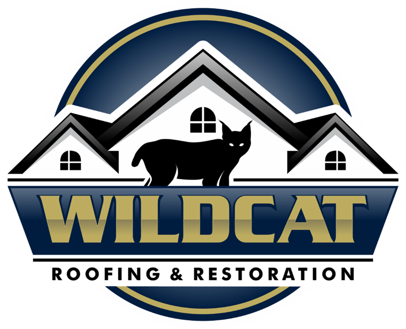 Wildcat-Roof