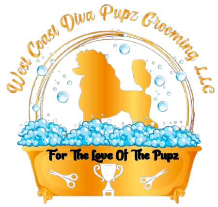 logo-design-e1748345595546